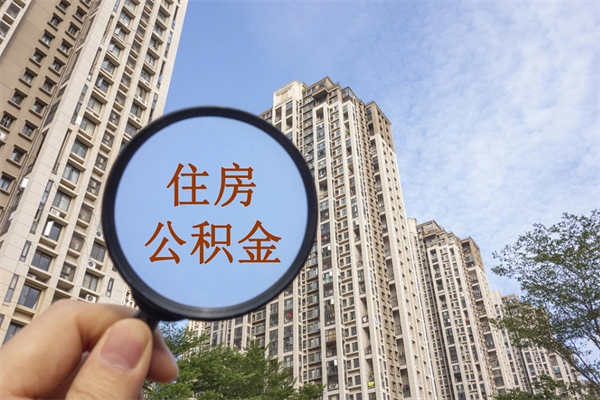 宁德公积金新政今起实施（宁德公积金新政出台）